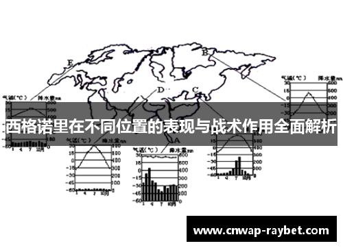 西格诺里在不同位置的表现与战术作用全面解析