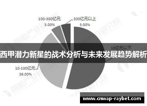 西甲潜力新星的战术分析与未来发展趋势解析