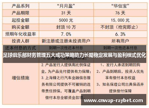 足球俱乐部财务管理五大成功策略助力长期稳定发展与盈利模式优化