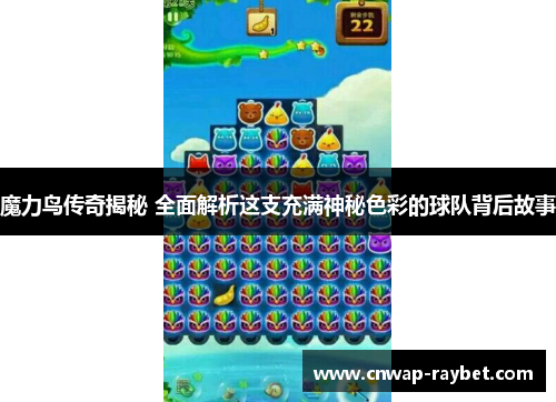 魔力鸟传奇揭秘 全面解析这支充满神秘色彩的球队背后故事