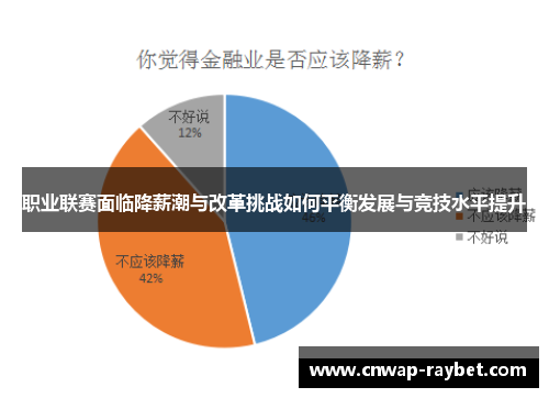 职业联赛面临降薪潮与改革挑战如何平衡发展与竞技水平提升