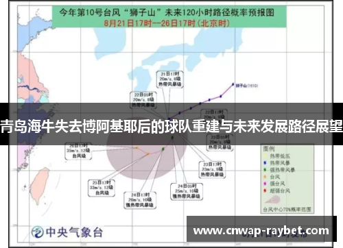 青岛海牛失去博阿基耶后的球队重建与未来发展路径展望